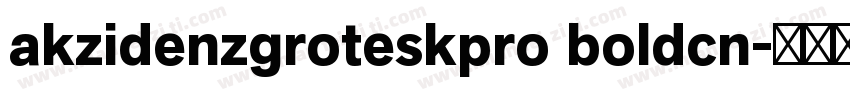 akzidenzgroteskpro boldcn字体转换